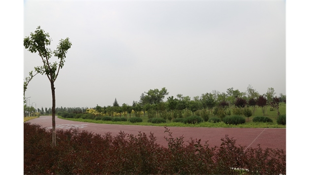 標題：大青山南坡生態(tài)修復
瀏覽次數：2379
發(fā)表時(shí)間：2020-10-16