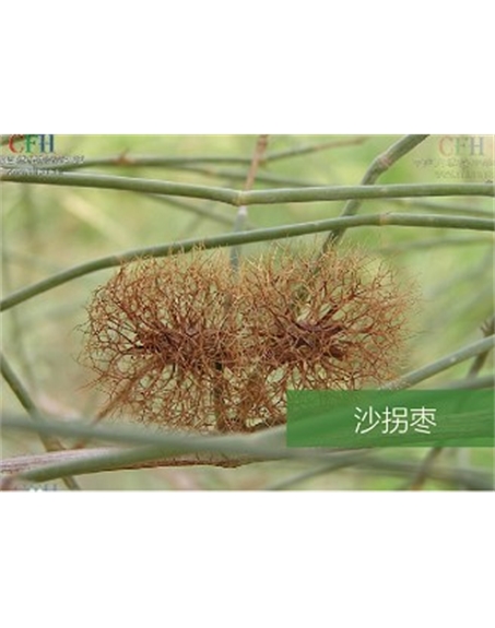 標題：名貴樹(shù)種
瀏覽次數：1657
發(fā)表時(shí)間：2020-10-17