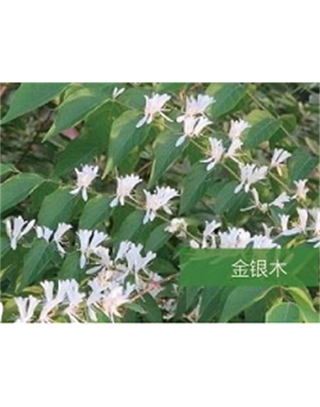 標題：?jiǎn)坦嗄?瀏覽次數：1652
發(fā)表時(shí)間：2020-10-17