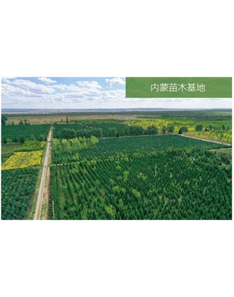 標題：苗木基地
瀏覽次數：2006
發(fā)表時(shí)間：2020-10-17