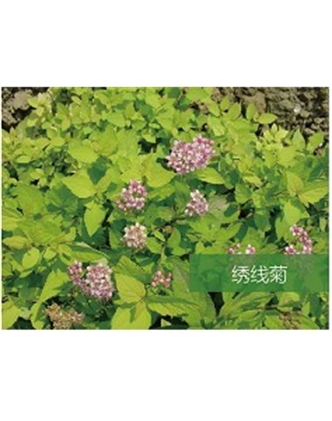標題：?jiǎn)坦嗄?瀏覽次數：1831
發(fā)表時(shí)間：2020-10-17