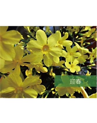 標題：?jiǎn)坦嗄?瀏覽次數：1573
發(fā)表時(shí)間：2020-10-17