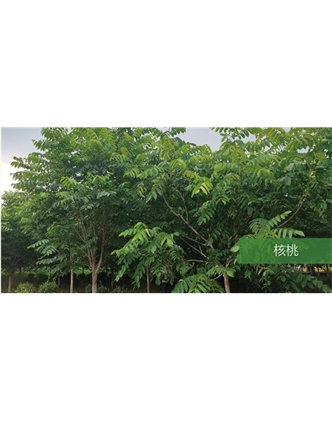 標題：?jiǎn)坦嗄?瀏覽次數：1630
發(fā)表時(shí)間：2020-10-17