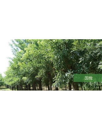標題：?jiǎn)坦嗄?瀏覽次數：1814
發(fā)表時(shí)間：2020-10-17